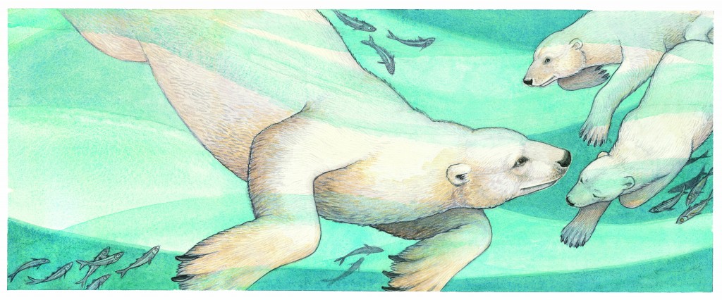 Wild About Bears Illustration © Jeannie Brett